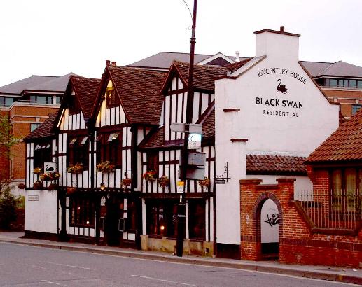 The Black Swan
